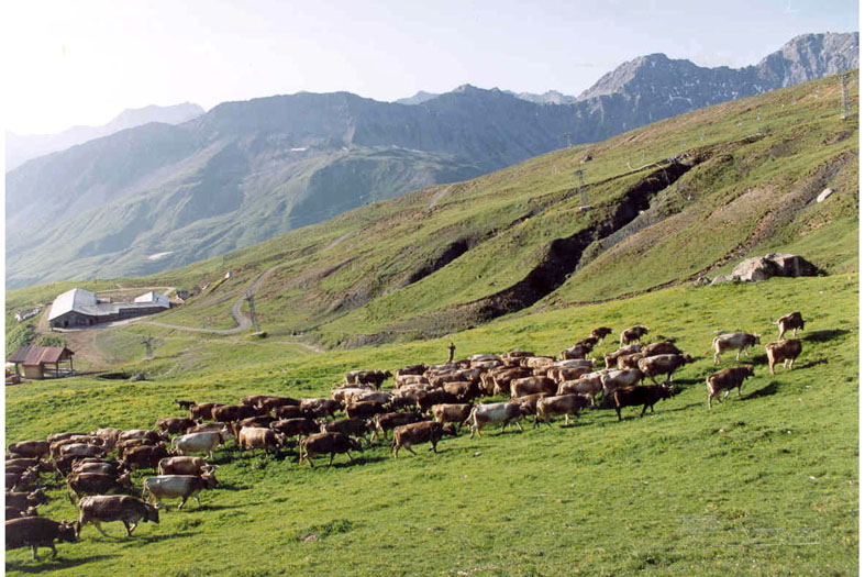 Schauen Sie zu