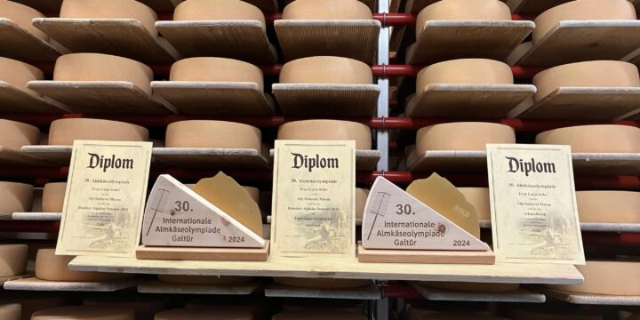 Almkäseolympiade in Galtür 2024